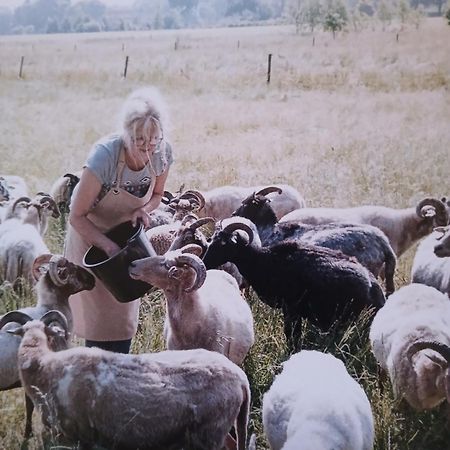 Pipowagen Elsebein Groningen Westerwolde Unieke Ligging Met Eigen Tuin En Vrij Uitzicht Over Veld Naar Natuurgebied Onstwedde Exteriér fotografie