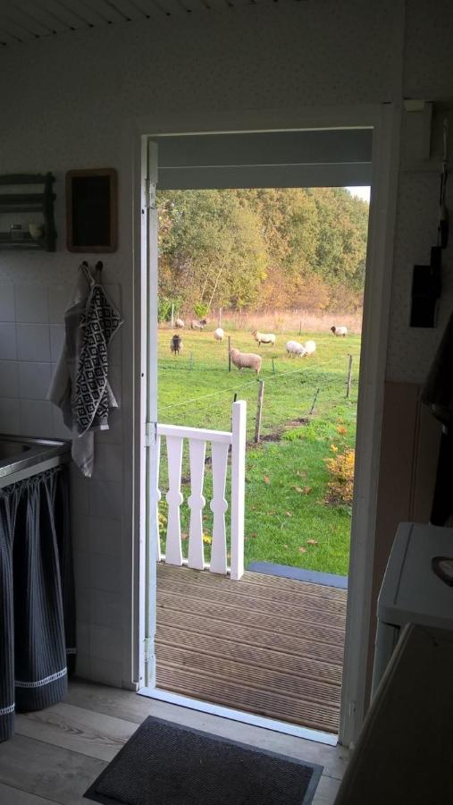 Pipowagen Elsebein Groningen Westerwolde Unieke Ligging Met Eigen Tuin En Vrij Uitzicht Over Veld Naar Natuurgebied Onstwedde Exteriér fotografie