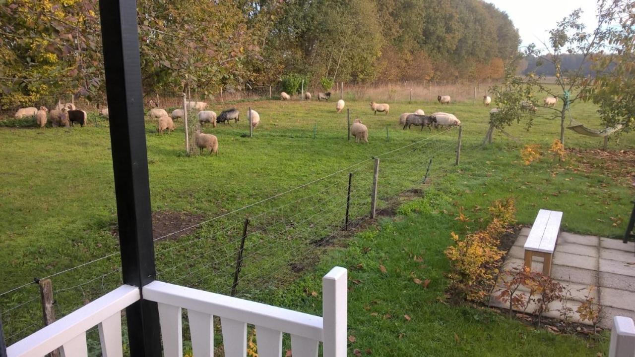 Pipowagen Elsebein Groningen Westerwolde Unieke Ligging Met Eigen Tuin En Vrij Uitzicht Over Veld Naar Natuurgebied Onstwedde Exteriér fotografie