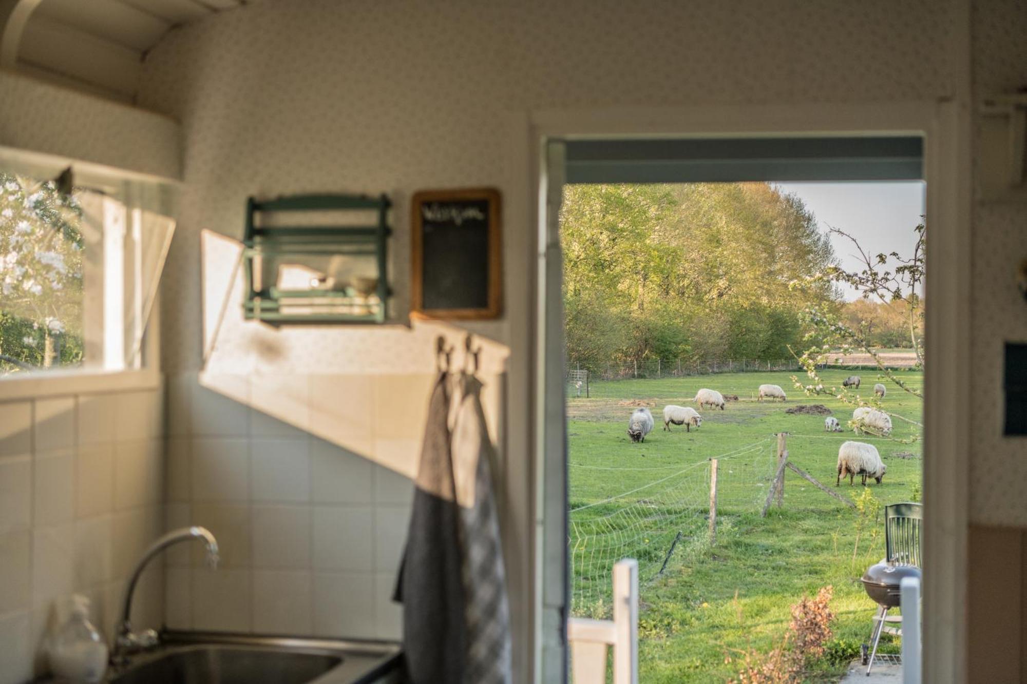 Pipowagen Elsebein Groningen Westerwolde Unieke Ligging Met Eigen Tuin En Vrij Uitzicht Over Veld Naar Natuurgebied Onstwedde Exteriér fotografie