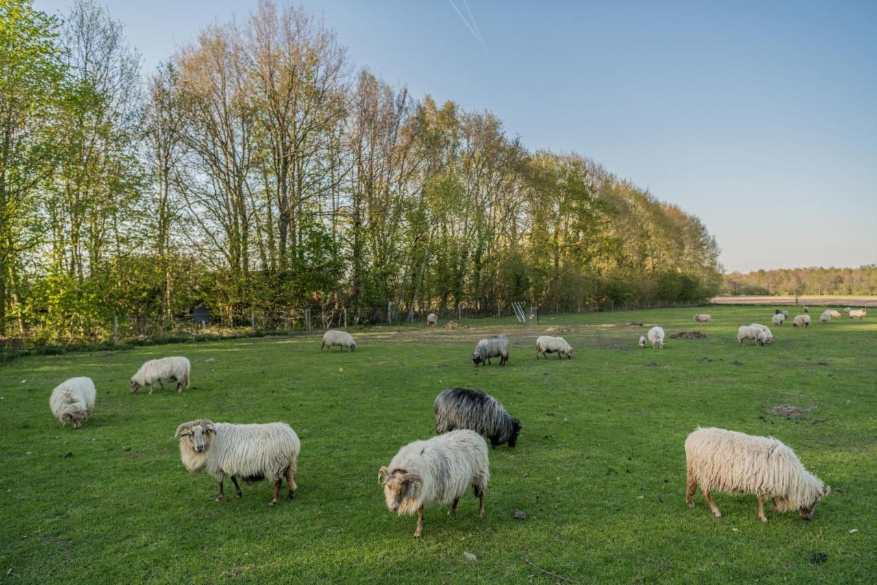 Pipowagen Elsebein Groningen Westerwolde Unieke Ligging Met Eigen Tuin En Vrij Uitzicht Over Veld Naar Natuurgebied Onstwedde Exteriér fotografie